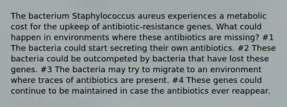 The bacterium Staphylococcus aureus experiences a metabolic cost for the upkeep of antibiotic-resistance genes. What could happen in environments where these antibiotics are missing? #1 The bacteria could start secreting their own antibiotics. #2 These bacteria could be outcompeted by bacteria that have lost these genes. #3 The bacteria may try to migrate to an environment where traces of antibiotics are present. #4 These genes could continue to be maintained in case the antibiotics ever reappear.