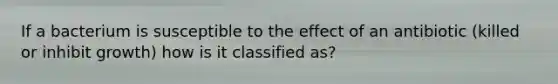 If a bacterium is susceptible to the effect of an antibiotic (killed or inhibit growth) how is it classified as?