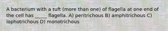 A bacterium with a tuft (more than one) of flagella at one end of the cell has _____ flagella. A) peritrichous B) amphitrichous C) lophotrichous D) monotrichous