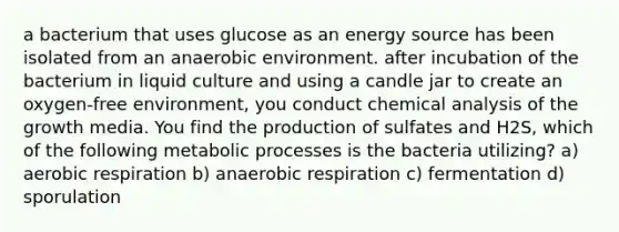 a bacterium that uses glucose as an energy source has been isolated from an anaerobic environment. after incubation of the bacterium in liquid culture and using a candle jar to create an oxygen-free environment, you conduct chemical analysis of the growth media. You find the production of sulfates and H2S, which of the following metabolic processes is the bacteria utilizing? a) aerobic respiration b) anaerobic respiration c) fermentation d) sporulation