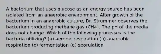 A bacterium that uses glucose as an energy source has been isolated from an anaerobic environment. After growth of the bacterium in an anaerobic culture, Dr. Strummer observes the bacterium producing methane gas (CH4). The pH of the media does not change. Which of the following processes is the bacteria utilizing? (a) <a href='https://www.questionai.com/knowledge/kyxGdbadrV-aerobic-respiration' class='anchor-knowledge'>aerobic respiration</a> (b) anaerobic respiration (c) fermentation (d) sporulation