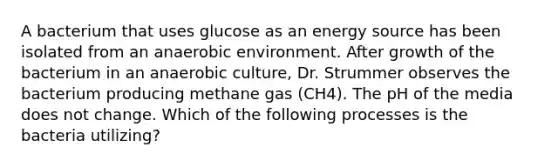 A bacterium that uses glucose as an energy source has been isolated from an anaerobic environment. After growth of the bacterium in an anaerobic culture, Dr. Strummer observes the bacterium producing methane gas (CH4). The pH of the media does not change. Which of the following processes is the bacteria utilizing?