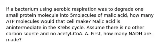 If a bacterium using aerobic respiration was to degrade one small protein molecule into 5molecules of malic acid, how many ATP molecules would that cell make? Malic acid is anintermediate in the Krebs cycle. Assume there is no other carbon source and no acetyl-CoA. A. First, how many NADH are made?