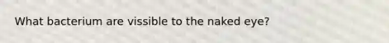 What bacterium are vissible to the naked eye?