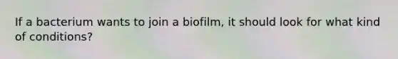 If a bacterium wants to join a biofilm, it should look for what kind of conditions?