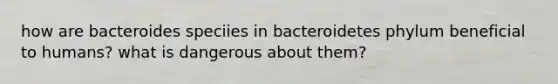 how are bacteroides speciies in bacteroidetes phylum beneficial to humans? what is dangerous about them?