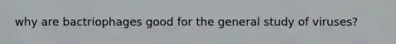 why are bactriophages good for the general study of viruses?