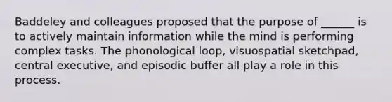 Baddeley and colleagues proposed that the purpose of ______ is to actively maintain information while the mind is performing complex tasks. The phonological loop, visuospatial sketchpad, central executive, and episodic buffer all play a role in this process.