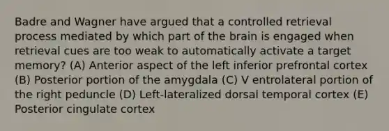 Badre and Wagner have argued that a controlled retrieval process mediated by which part of the brain is engaged when retrieval cues are too weak to automatically activate a target memory? (A) Anterior aspect of the left inferior prefrontal cortex (B) Posterior portion of the amygdala (C) V entrolateral portion of the right peduncle (D) Left-lateralized dorsal temporal cortex (E) Posterior cingulate cortex