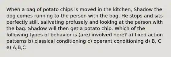 When a bag of potato chips is moved in the kitchen, Shadow the dog comes running to the person with the bag. He stops and sits perfectly still, salivating profusely and looking at the person with the bag. Shadow will then get a potato chip. Which of the following types of behavior is (are) involved here? a) fixed action patterns b) classical conditioning c) operant conditioning d) B, C e) A,B,C