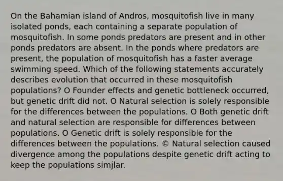 On the Bahamian island of Andros, mosquitofish live in many isolated ponds, each containing a separate population of mosquitofish. In some ponds predators are present and in other ponds predators are absent. In the ponds where predators are present, the population of mosquitofish has a faster average swimming speed. Which of the following statements accurately describes evolution that occurred in these mosquitofish populations? O Founder effects and genetic bottleneck occurred, but genetic drift did not. O Natural selection is solely responsible for the differences between the populations. O Both genetic drift and natural selection are responsible for differences between populations. O Genetic drift is solely responsible for the differences between the populations. © Natural selection caused divergence among the populations despite genetic drift acting to keep the populations simjlar.