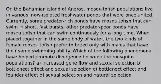 On the Bahamian island of Andros, mosquitofish populations live in various, now-isolated freshwater ponds that were once united. Currently, some predator-rich ponds have mosquitofish that can swim in short, fast bursts; other predator-poor ponds have mosquitofish that can swim continuously for a long time. When placed together in the same body of water, the two kinds of female mosquitofish prefer to breed only with males that have their same swimming ability. Which of the following phenomena have helped promote divergence between the mosquito populations? a) increased gene flow and sexual selection b) bottlenect effect and sexual selection c) bottlenect effect and founder effect d) sexual selection and natural selection