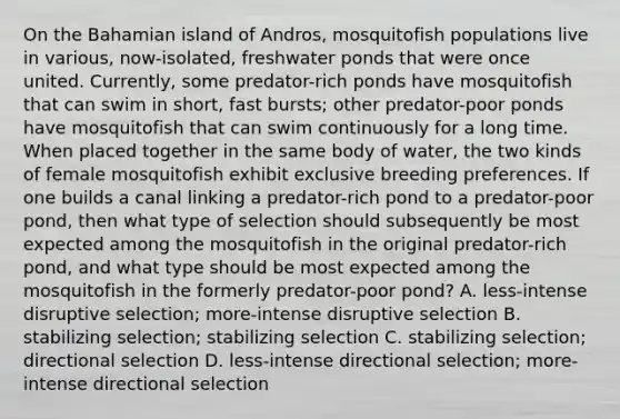 On the Bahamian island of Andros, mosquitofish populations live in various, now-isolated, freshwater ponds that were once united. Currently, some predator-rich ponds have mosquitofish that can swim in short, fast bursts; other predator-poor ponds have mosquitofish that can swim continuously for a long time. When placed together in the same body of water, the two kinds of female mosquitofish exhibit exclusive breeding preferences. If one builds a canal linking a predator-rich pond to a predator-poor pond, then what type of selection should subsequently be most expected among the mosquitofish in the original predator-rich pond, and what type should be most expected among the mosquitofish in the formerly predator-poor pond? A. less-intense disruptive selection; more-intense disruptive selection B. stabilizing selection; stabilizing selection C. stabilizing selection; directional selection D. less-intense directional selection; more-intense directional selection