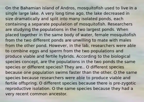 On the Bahamian island of Andros, mosquitofish used to live in a single large lake. A very long time ago, the lake decreased in size dramatically and split into many isolated ponds, each containing a separate population of mosquitofish. Researchers are studying the populations in the two largest ponds. When placed together in the same body of water, female mosquitofish from the two different ponds are unwilling to mate with males from the other pond. However, in the lab, researchers were able to combine eggs and sperm from the two populations and produce viable and fertile hybrids. According to the biological species concept, are the populations in the two ponds the same species or different species? They are.. O different species because one population swims faster than the other. O the same species because researchers were able to produce viable and fertile offspring. O different species because there is pre-zygotic reproductive isolation. O the same species because they had a very recent common ancestor.