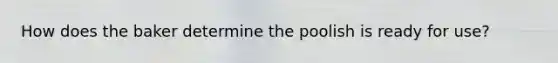 How does the baker determine the poolish is ready for use?