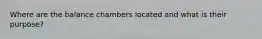 Where are the balance chambers located and what is their purpose?