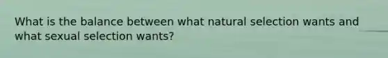 What is the balance between what natural selection wants and what sexual selection wants?