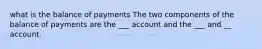 what is the balance of payments The two components of the balance of payments are the ___ account and the ___ and __ account.