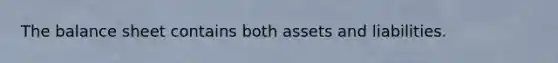 The balance sheet contains both assets and liabilities.