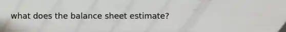 what does the balance sheet estimate?