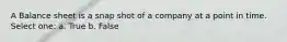 A Balance sheet is a snap shot of a company at a point in time. Select one: a. True b. False
