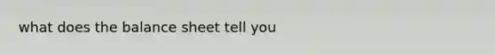 what does the balance sheet tell you