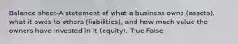 Balance sheet-A statement of what a business owns (assets), what it owes to others (liabilities), and how much value the owners have invested in it (equity). True False