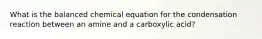 What is the balanced chemical equation for the condensation reaction between an amine and a carboxylic acid?