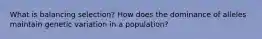 What is balancing selection? How does the dominance of alleles maintain genetic variation in a population?