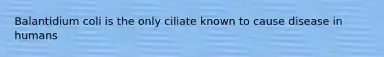 Balantidium coli is the only ciliate known to cause disease in humans