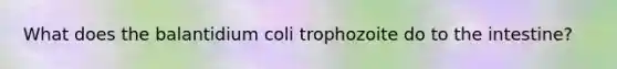 What does the balantidium coli trophozoite do to the intestine?