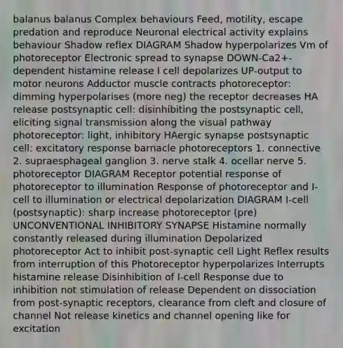 balanus balanus Complex behaviours Feed, motility, escape predation and reproduce Neuronal electrical activity explains behaviour Shadow reflex DIAGRAM Shadow hyperpolarizes Vm of photoreceptor Electronic spread to synapse DOWN-Ca2+-dependent histamine release I cell depolarizes UP-output to motor neurons Adductor muscle contracts photoreceptor: dimming hyperpolarises (more neg) the receptor decreases HA release postsynaptic cell: disinhibiting the postsynaptic cell, eliciting signal transmission along the visual pathway photoreceptor: light, inhibitory HAergic synapse postsynaptic cell: excitatory response barnacle photoreceptors 1. connective 2. supraesphageal ganglion 3. nerve stalk 4. ocellar nerve 5. photoreceptor DIAGRAM Receptor potential response of photoreceptor to illumination Response of photoreceptor and I-cell to illumination or electrical depolarization DIAGRAM I-cell (postsynaptic): sharp increase photoreceptor (pre) UNCONVENTIONAL INHIBITORY SYNAPSE Histamine normally constantly released during illumination Depolarized photoreceptor Act to inhibit post-synaptic cell Light Reflex results from interruption of this Photoreceptor hyperpolarizes Interrupts histamine release Disinhibition of I-cell Response due to inhibition not stimulation of release Dependent on dissociation from post-synaptic receptors, clearance from cleft and closure of channel Not release kinetics and channel opening like for excitation