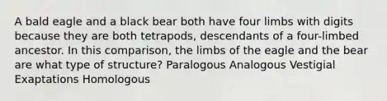 A bald eagle and a black bear both have four limbs with digits because they are both tetrapods, descendants of a four-limbed ancestor. In this comparison, the limbs of the eagle and the bear are what type of structure? Paralogous Analogous Vestigial Exaptations Homologous