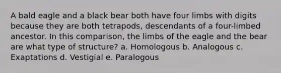 A bald eagle and a black bear both have four limbs with digits because they are both tetrapods, descendants of a four-limbed ancestor. In this comparison, the limbs of the eagle and the bear are what type of structure? a. Homologous b. Analogous c. Exaptations d. Vestigial e. Paralogous