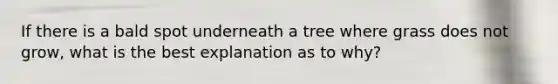 If there is a bald spot underneath a tree where grass does not grow, what is the best explanation as to why?