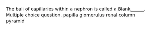 The ball of capillaries within a nephron is called a Blank______. Multiple choice question. papilla glomerulus renal column pyramid