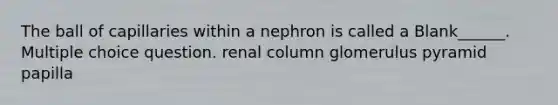 The ball of capillaries within a nephron is called a Blank______. Multiple choice question. renal column glomerulus pyramid papilla