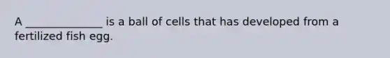 A ______________ is a ball of cells that has developed from a fertilized fish egg.