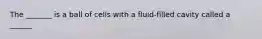 The _______ is a ball of cells with a fluid-filled cavity called a ______