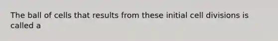 The ball of cells that results from these initial cell divisions is called a