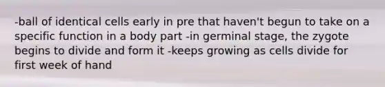 -ball of identical cells early in pre that haven't begun to take on a specific function in a body part -in germinal stage, the zygote begins to divide and form it -keeps growing as cells divide for first week of hand