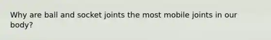 Why are ball and socket joints the most mobile joints in our body?