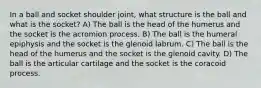 In a ball and socket shoulder joint, what structure is the ball and what is the socket? A) The ball is the head of the humerus and the socket is the acromion process. B) The ball is the humeral epiphysis and the socket is the glenoid labrum. C) The ball is the head of the humerus and the socket is the glenoid cavity. D) The ball is the articular cartilage and the socket is the coracoid process.