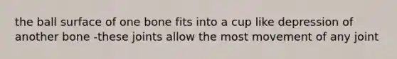 the ball surface of one bone fits into a cup like depression of another bone -these joints allow the most movement of any joint