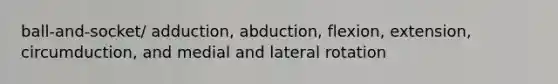 ball-and-socket/ adduction, abduction, flexion, extension, circumduction, and medial and lateral rotation