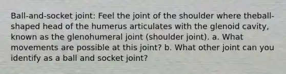 Ball-and-socket joint: Feel the joint of the shoulder where theball-shaped head of the humerus articulates with the glenoid cavity, known as the glenohumeral joint (shoulder joint). a. What movements are possible at this joint? b. What other joint can you identify as a ball and socket joint?