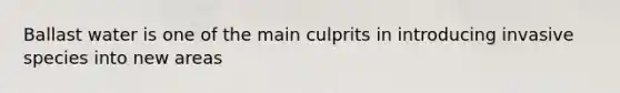 Ballast water is one of the main culprits in introducing invasive species into new areas