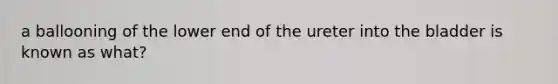 a ballooning of the lower end of the ureter into the bladder is known as what?