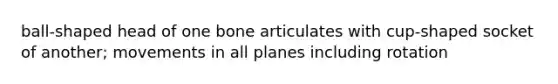 ball-shaped head of one bone articulates with cup-shaped socket of another; movements in all planes including rotation