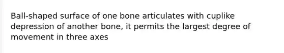 Ball-shaped surface of one bone articulates with cuplike depression of another bone, it permits the largest degree of movement in three axes